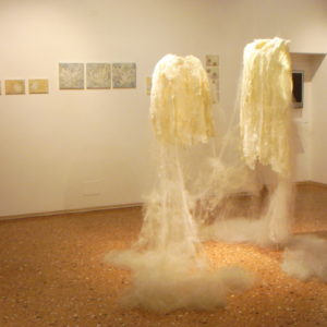 Visione dell'allestimento della mostra
