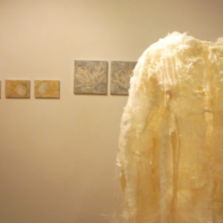 Particolare dell'allestimento della mostra