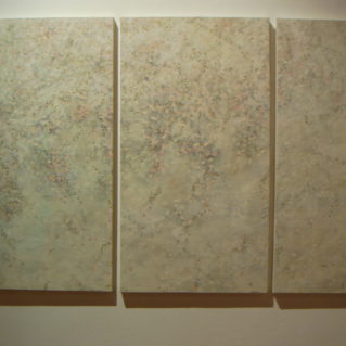 Opera di Toyomi Nara