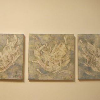 Opere di Toyomi Nara