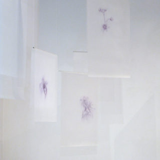 Cristina Treppo, La cura e il veleno, 2010, biro su pvc