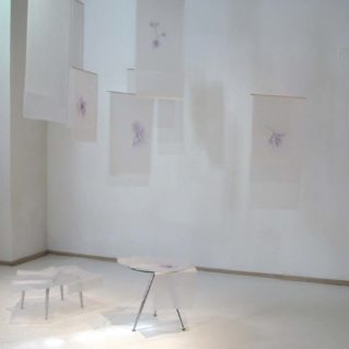 Cristina Treppo, La cura e il veleno, 2010, biro su pvc