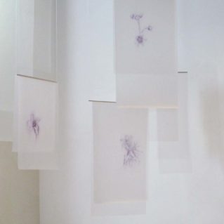 Cristina Treppo, La cura e il veleno, 2010, biro su pvc
