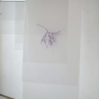 Cristina Treppo, La cura e il veleno, 2010, biro su pvc