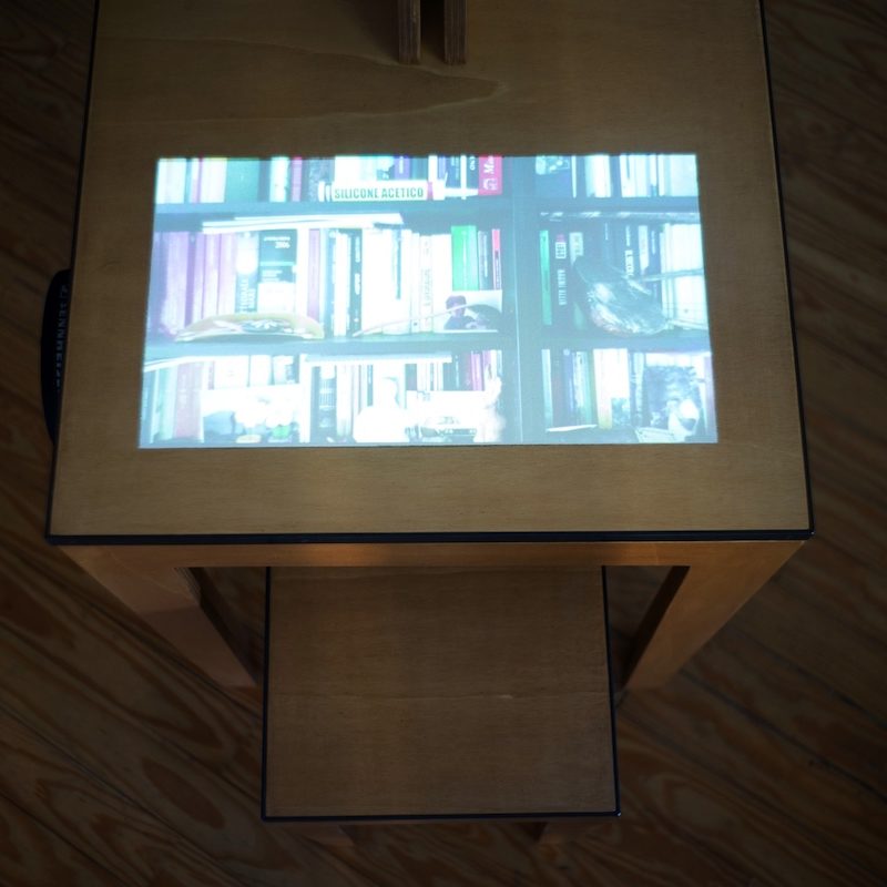 Elena Pugliese, COSA VORRESTI LASCIARE DI TE, Archivio in progress di Testamenti Poetici 2013-2017, video installazione