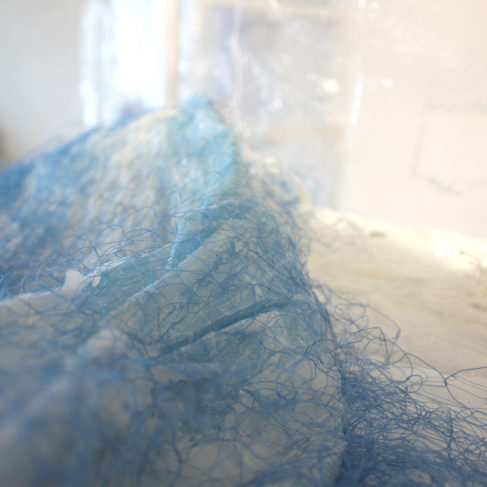 Dania Zanotto, Flocking to the sea, 2011, Installazione Site Specific,cera, resina, rete, vetro, stoffa, polvere di vetro, corda dimensioni variabili