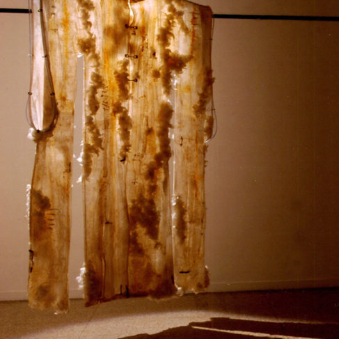 Furisode sciamanico 2003 garza, lattice, piume, ferro, 180x240 cm IV Premio Cairo Communication, Palazzo della Permanente, Milano.