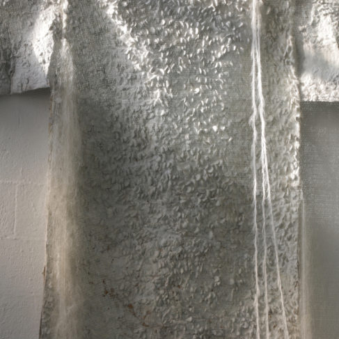 Dania Zanotto, I Pilastri della Creazione, 2016-2017, Installazione, Veste-scultura, rete, lana, polvere di vetro, cera, silicone, metallo, foto su plexiglass, dimensioni variabili.