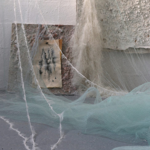 Dania Zanotto, I Pilastri della Creazione, 2016-2017, Installazione, Veste-scultura, rete, lana, polvere di vetro, cera, silicone, metallo, foto su plexiglass, dimensioni variabili.