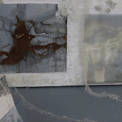 Dania Zanotto, I Pilastri della Creazione, 2016-2017, Installazione, Veste-scultura, rete, lana, polvere di vetro, cera, silicone, metallo, foto su plexiglass, dimensioni variabili.