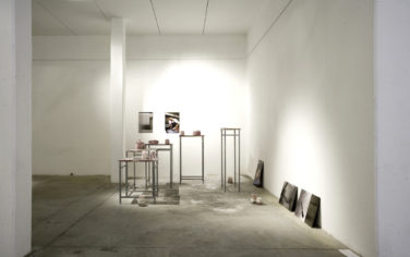 In my flesh Dania Zanotto, In my Flesh, 2008-2009, Installazione Site Specific, resina, piombo, sale, stampe fotografiche su dibond, dimensioni variabili
