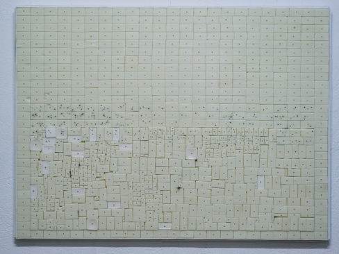 Tamara Repetto, 2017-2018, sapone, radici, polvere di legno, terra.
