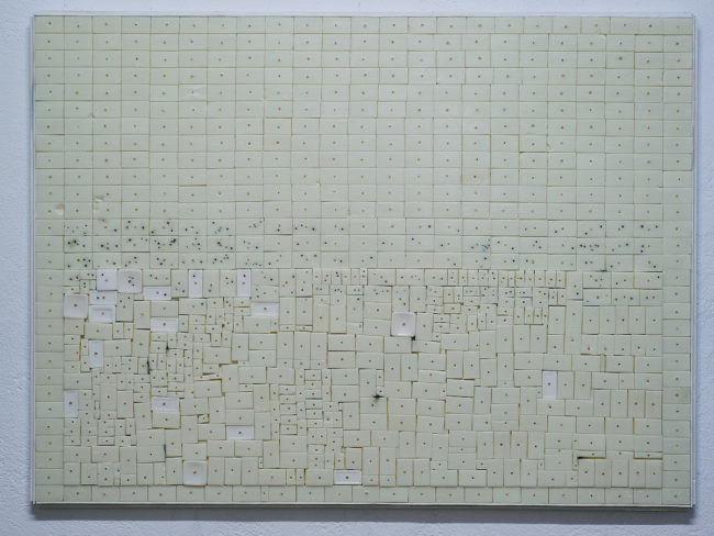 Tamara Repetto, 2017-2018, sapone, radici, polvere di legno, terra.