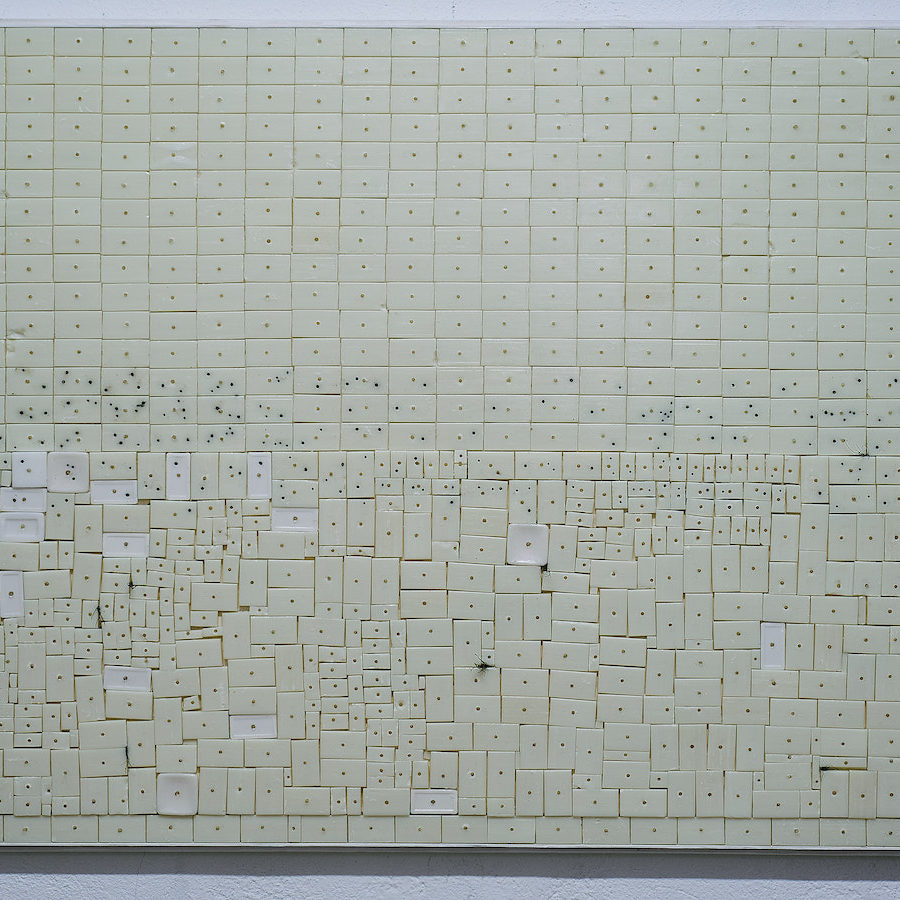 Tamara Repetto, 2017-2018, sapone, radici, polvere di legno, terra.