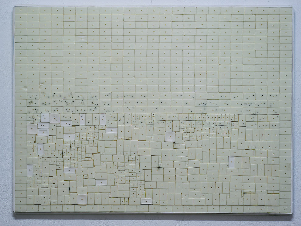 Tamara Repetto, 2017-2018, sapone, radici, polvere di legno, terra.