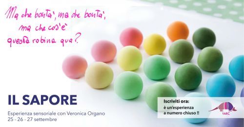 Esperienza sensoriale con Veronica Organo, settembre 2015